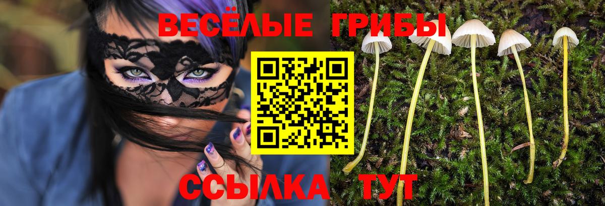 Котельники  Галлюциногенные грибы Magic Shrooms  Вход с VPN  Галлюциногенные грибы мицелий 